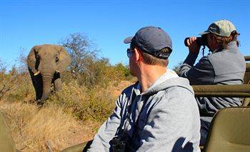 Motswari Private Game Reserve - Timbavati Klaserie Private Nature Reserve Zewnętrze zdjęcie