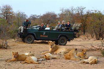Motswari Private Game Reserve - Timbavati Klaserie Private Nature Reserve Zewnętrze zdjęcie