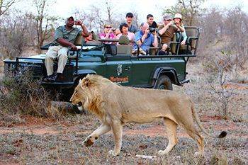 Motswari Private Game Reserve - Timbavati Klaserie Private Nature Reserve Zewnętrze zdjęcie