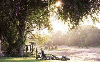 Motswari Private Game Reserve - Timbavati Klaserie Private Nature Reserve Zewnętrze zdjęcie