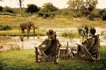 Motswari Private Game Reserve - Timbavati Klaserie Private Nature Reserve Zewnętrze zdjęcie